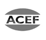 ACEF Global Awards